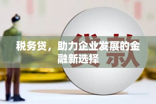科右中旗税务贷，助力企业发展的金融新选择