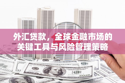 科右中旗外汇贷款，全球金融市场的关键工具与风险管理策略