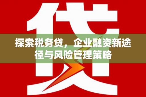 科右中旗探索税务贷，企业融资新途径与风险管理策略