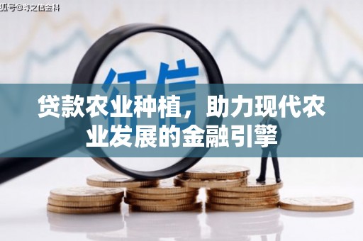 科右中旗贷款农业种植，助力现代农业发展的金融引擎